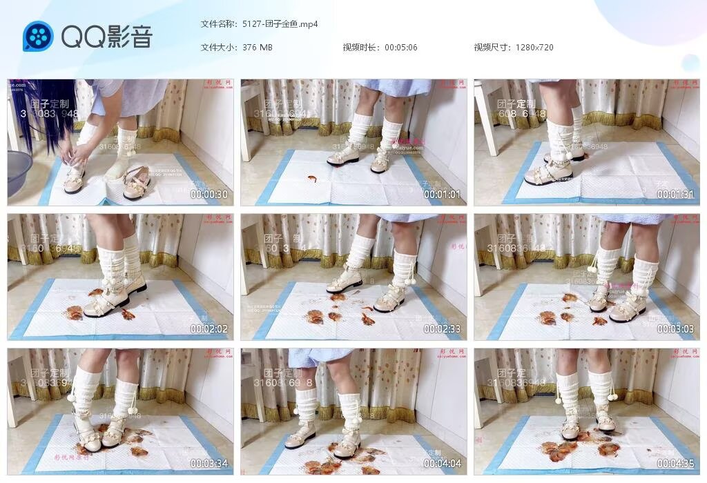 5127-团子金鱼[2